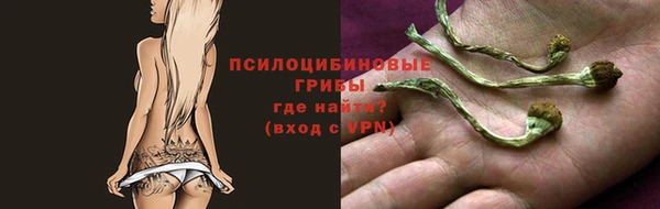 прущие грибы Алексеевка