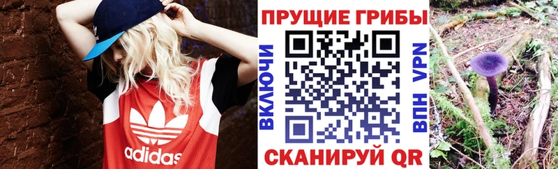 Галлюциногенные грибы Magic Shrooms  Данков 